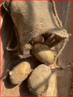 POTATO BAG